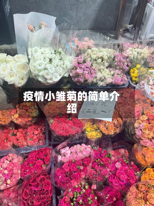 疫情小雏菊的简单介绍