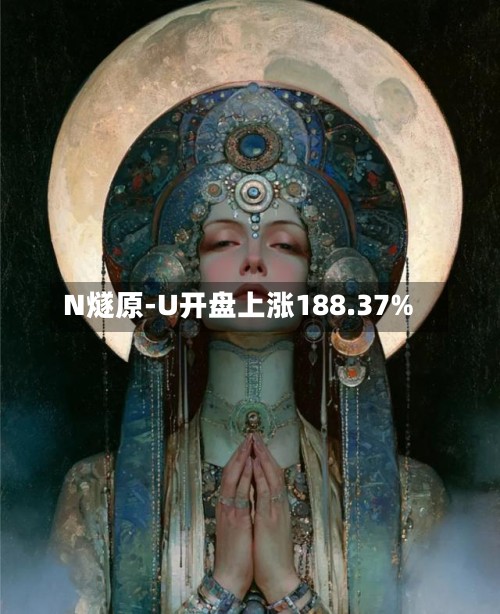 N燧原-U开盘上涨188.37%