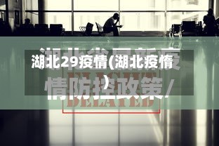 湖北29疫情(湖北疫惰)