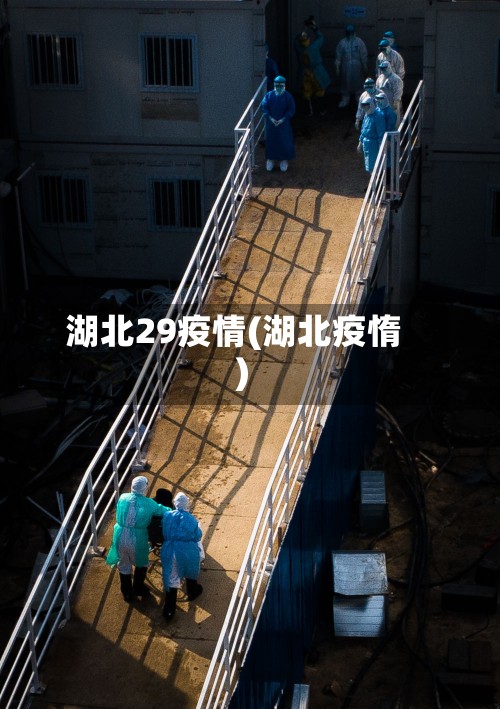 湖北29疫情(湖北疫惰)-第3张图片