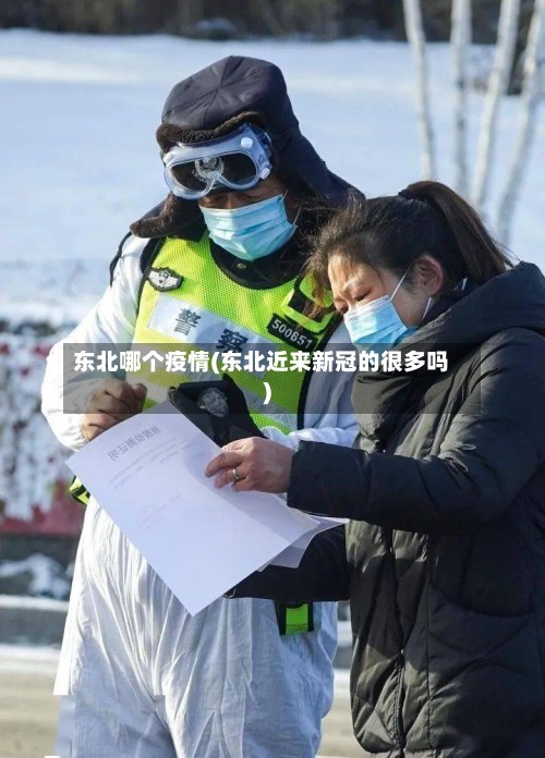 东北哪个疫情(东北近来新冠的很多吗)