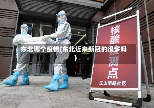 东北哪个疫情(东北近来新冠的很多吗)-第3张图片