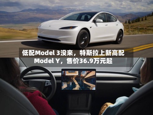 低配Model 3没来，特斯拉上新高配Model Y，售价36.9万元起