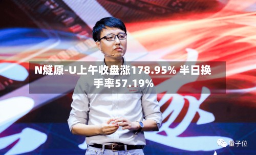 N燧原-U上午收盘涨178.95% 半日换手率57.19%