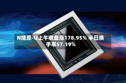 N燧原-U上午收盘涨178.95% 半日换手率57.19%-第2张图片