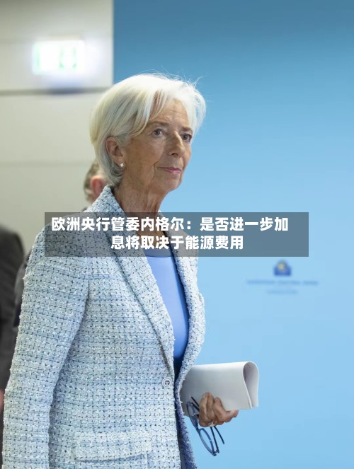 欧洲央行管委内格尔：是否进一步加息将取决于能源费用