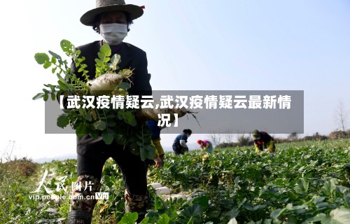 【武汉疫情疑云,武汉疫情疑云最新情况】