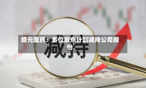 皓元医药：多位股东计划减持公司股份
