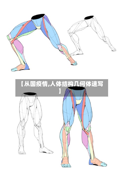 【从国疫情,人体结构几何体速写】-第3张图片