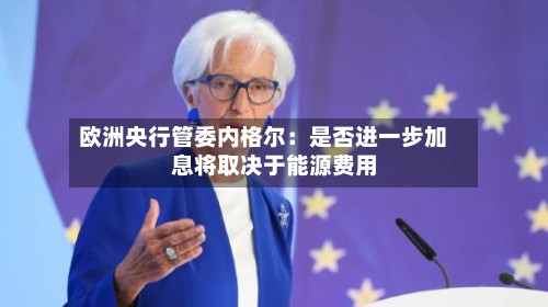 欧洲央行管委内格尔：是否进一步加息将取决于能源费用