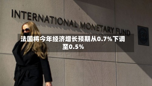 法国将今年经济增长预期从0.7%下调至0.5%