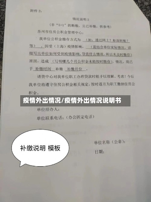 疫情外出情况/疫情外出情况说明书