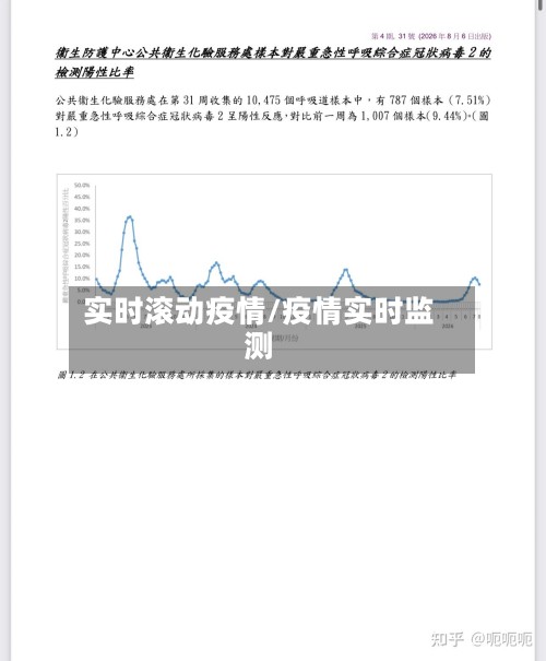 实时滚动疫情/疫情实时监测-第2张图片