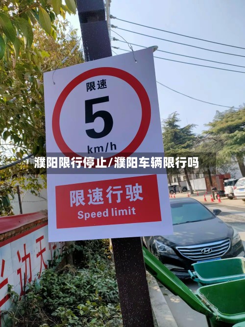 濮阳限行停止/濮阳车辆限行吗-第3张图片