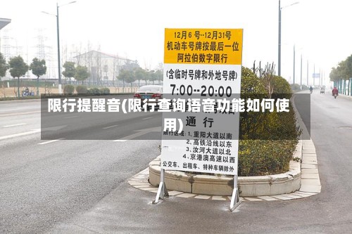 限行提醒音(限行查询语音功能如何使用)-第2张图片
