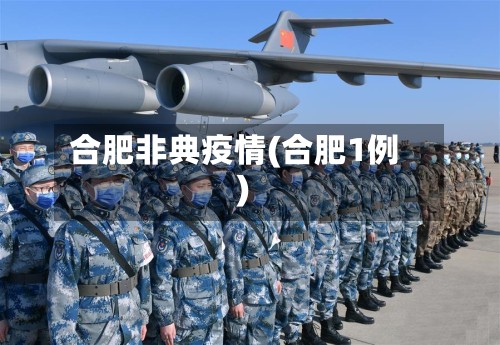 合肥非典疫情(合肥1例)-第3张图片