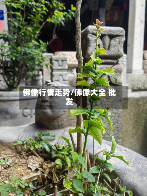 佛像行情走势/佛像大全 批发-第2张图片