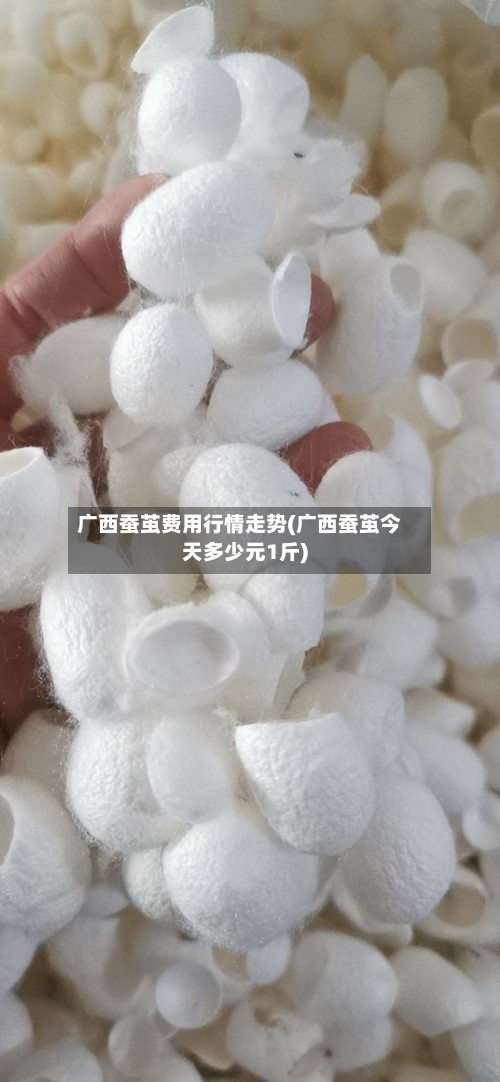 广西蚕茧费用行情走势(广西蚕茧今天多少元1斤)