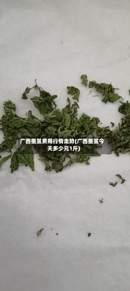 广西蚕茧费用行情走势(广西蚕茧今天多少元1斤)-第2张图片