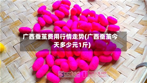 广西蚕茧费用行情走势(广西蚕茧今天多少元1斤)-第3张图片