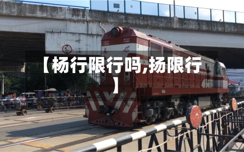 【杨行限行吗,扬限行】-第3张图片