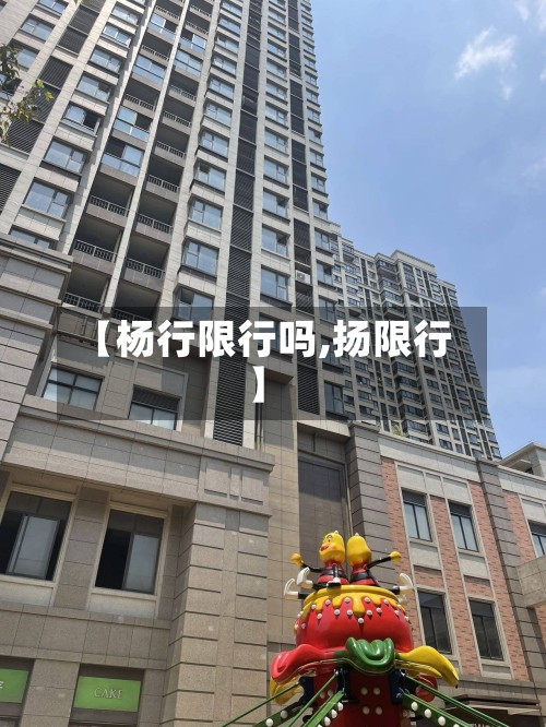 【杨行限行吗,扬限行】-第2张图片