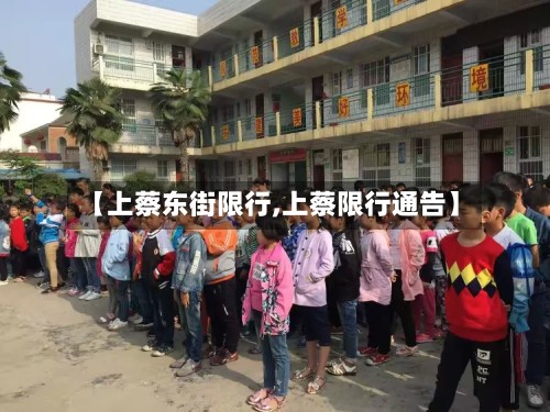 【上蔡东街限行,上蔡限行通告】-第2张图片
