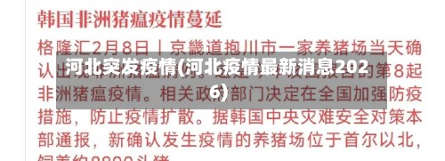 河北突发疫情(河北疫情最新消息2026)-第2张图片