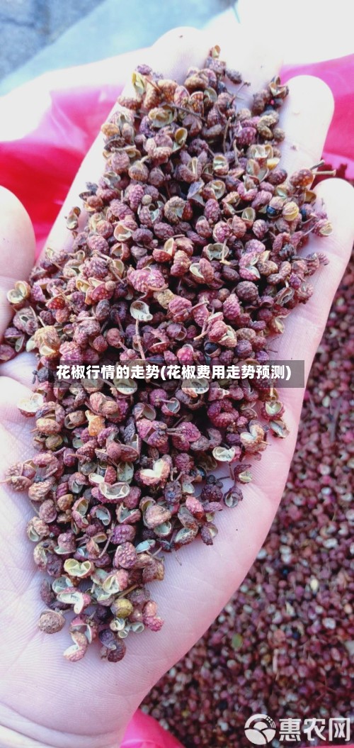 花椒行情的走势(花椒费用走势预测)-第3张图片