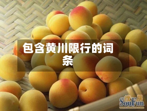 包含黄川限行的词条