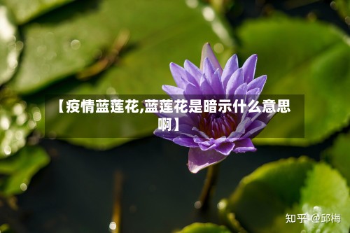 【疫情蓝莲花,蓝莲花是暗示什么意思啊】-第2张图片