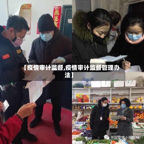【疫情审计监督,疫情审计监督管理办法】