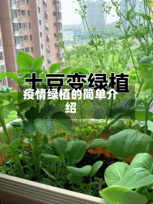 疫情绿植的简单介绍