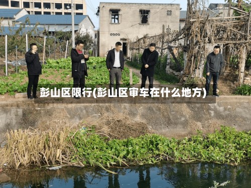 彭山区限行(彭山区审车在什么地方)-第2张图片