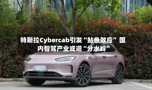 特斯拉Cybercab引发“鲇鱼效应” 国内智驾产业或迎“分水岭”