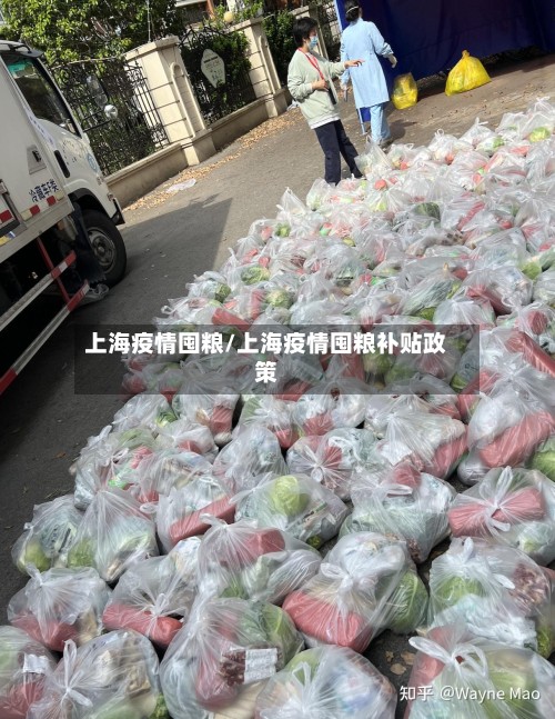 上海疫情囤粮/上海疫情囤粮补贴政策