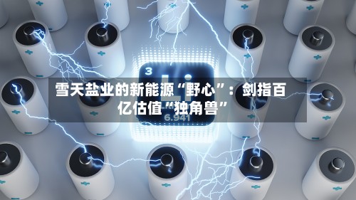 雪天盐业的新能源“野心”:剑指百亿估值“独角兽”