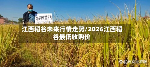 江西稻谷未来行情走势/2026江西稻谷最低收购价-第3张图片