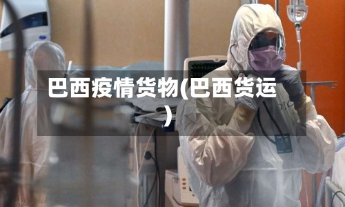 巴西疫情货物(巴西货运)-第2张图片