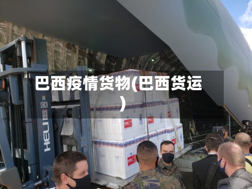巴西疫情货物(巴西货运)-第3张图片