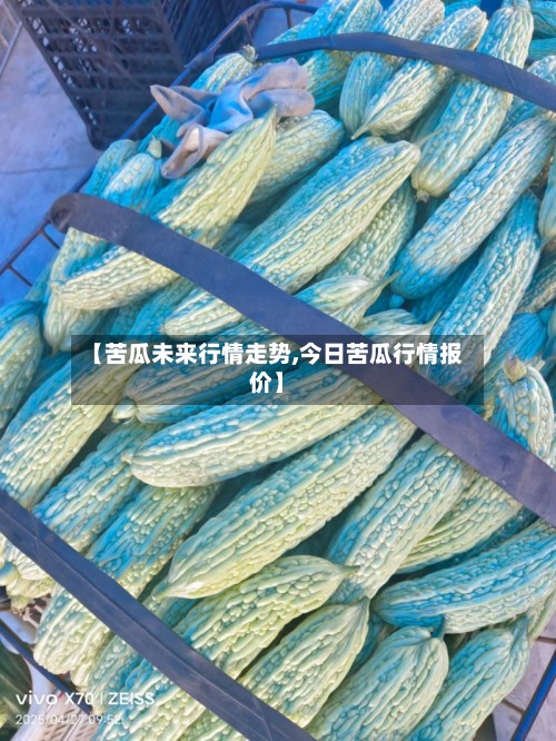 【苦瓜未来行情走势,今日苦瓜行情报价】