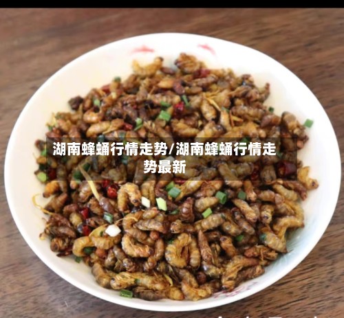 湖南蜂蛹行情走势/湖南蜂蛹行情走势最新-第3张图片