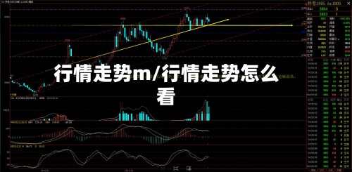 行情走势m/行情走势怎么看-第2张图片