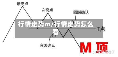 行情走势m/行情走势怎么看