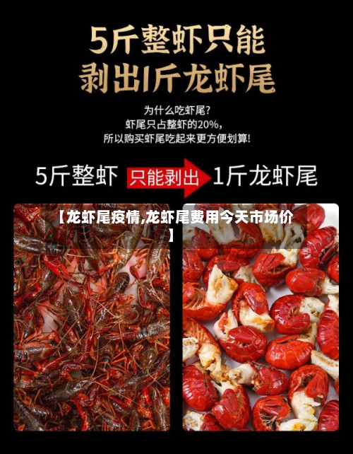 【龙虾尾疫情,龙虾尾费用今天市场价】