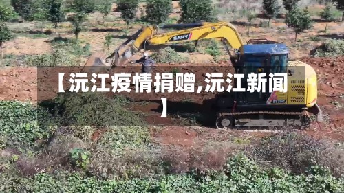 【沅江疫情捐赠,沅江新闻】-第2张图片