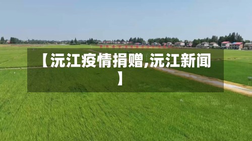 【沅江疫情捐赠,沅江新闻】