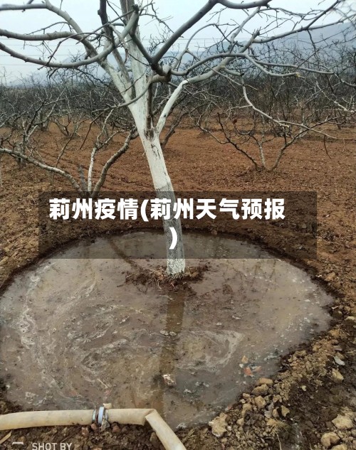 莉州疫情(莉州天气预报)-第2张图片