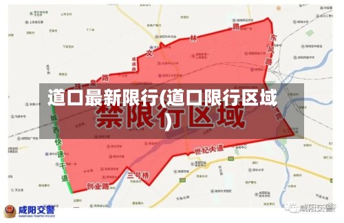 道口最新限行(道口限行区域)