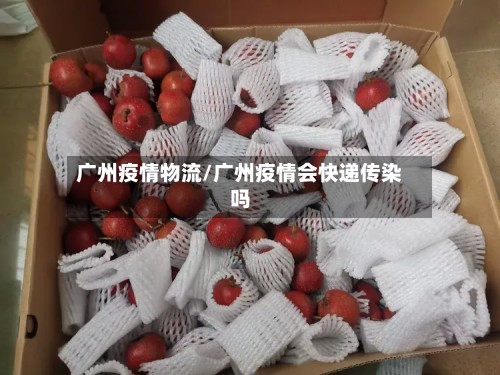 广州疫情物流/广州疫情会快递传染吗-第3张图片